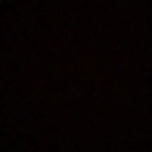 Meet your Posher, Adam